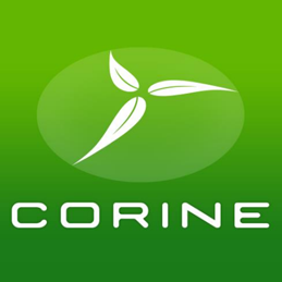 Corine